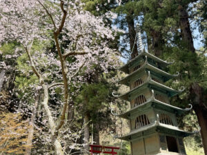 京都六地蔵尊霊場御宝印掛軸　横山竹洞画 Amazon.co.jp: 極高野山 金剛峯寺 御朱印帳 伽藍中門再建記念