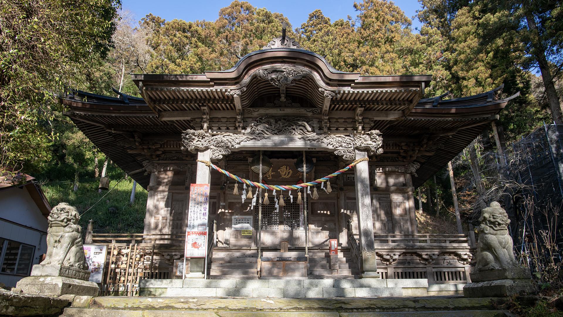 活動歴および当時の関連ビジュアル記録